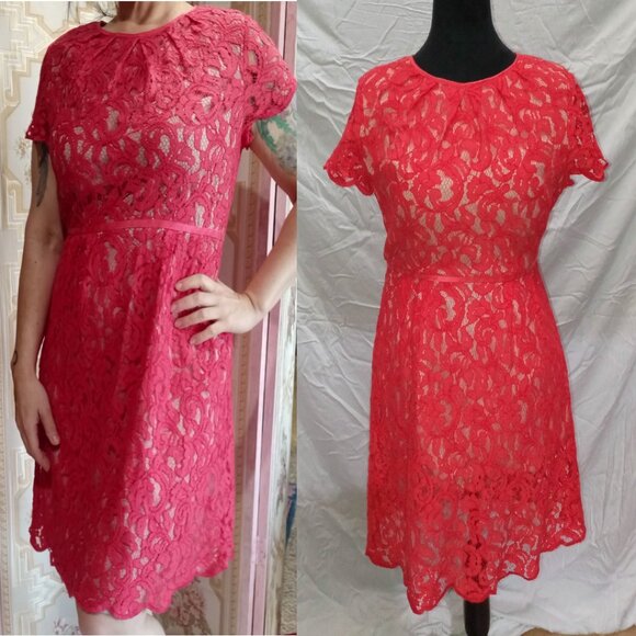️👗Red Lace Adrianna Papell Knee Length Dress Sz 14P Flutter Sleeves Fairycore - Picture 7 of 7
